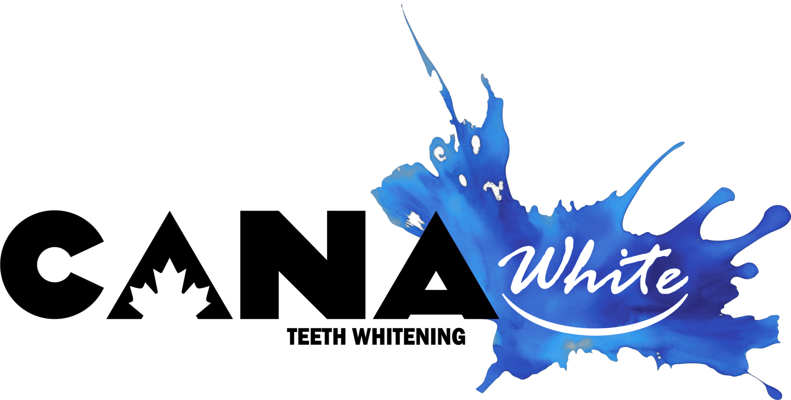 67c615e008fb2_Image20250303134917